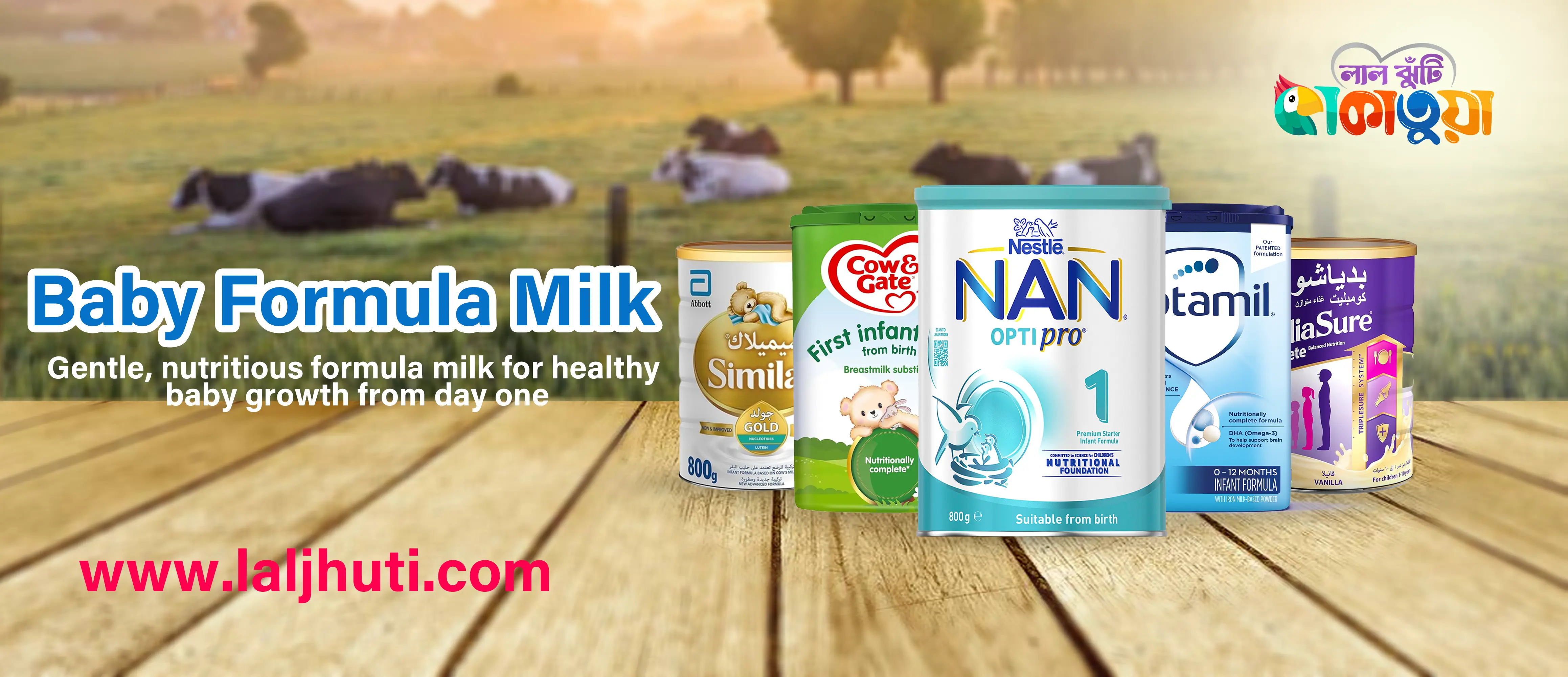 শিশুর বেড়ে ওঠার জন্য Baby Formula Milk কতটা দরকারি?